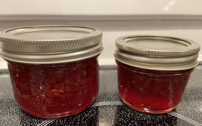 Confiture de groseilles