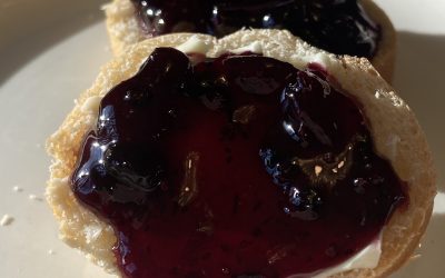 Confiture de bleuets sauvages